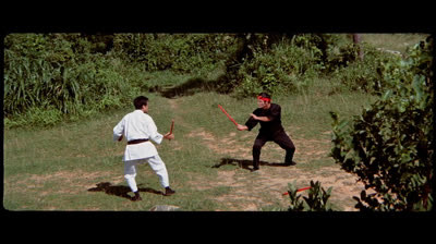 [2023] _The New Territories_ Footage (Bruce Lee's Game Of Death) 1080p