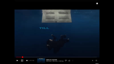 Birds of a feather Billy eilish