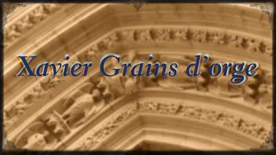 Xavier grains d'orge.