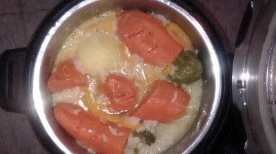 I BOUGHT A USED INSTANT POT ULTRA MIMI & HERE'S WHAT HAPPENED WILL USING IT.