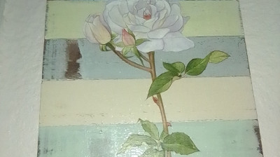 MY EXPERIENCE LIVING IN THC HOUSING.