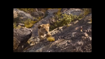 The lion king simba talks to scar as a cub