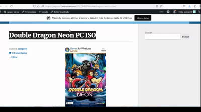 double dragon neon pc
