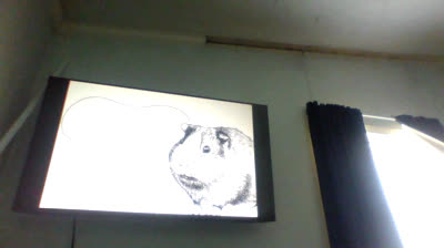 Tribute tenacious d meme