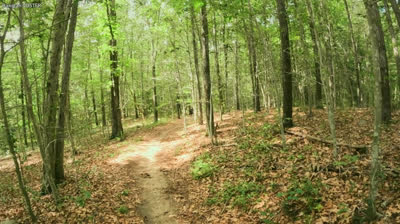 (VOSTFR) Are you sure - Episode 2