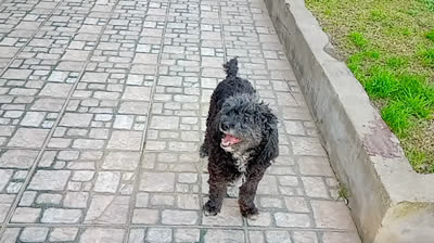 ME FALTAN TUS BESOS (CUMBIA)