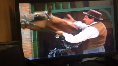 Black Beauty (1994 VHS)