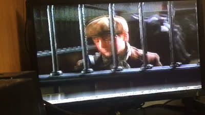 Black Beauty (1994 VHS)