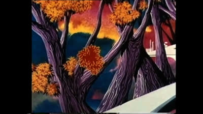 33 la citta' sugli alberi