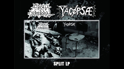 ATROFIA CEREBRAL / YACOPSAE - SPLIT LP (PROMO VIDEO)