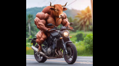 funny-animal-funny-animals-shorts-