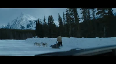 Hold the Dark  [HD]  1