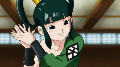 Capitulo 89 - ¡Una misteriosa belleza aparece!¿El dojo del estilo Ten Shin guarda un secreto?