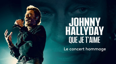 Johnny Hallyday - Requiem Pour Un Fou
