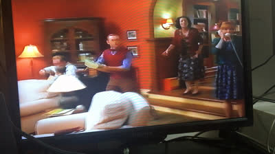 Stuart Little (2000 VHS)