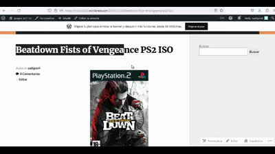 beatdown fists of vengeance ps2